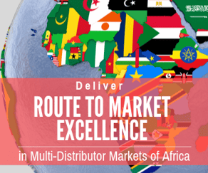 Route to Market Excellence in Multi Distributor Markets in Africa