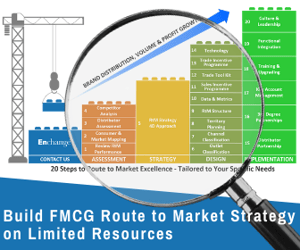 Build a Winning FMCG Route to Market Strategy on Limited Resources