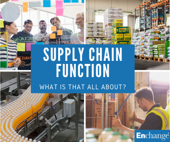 supply chain function definition