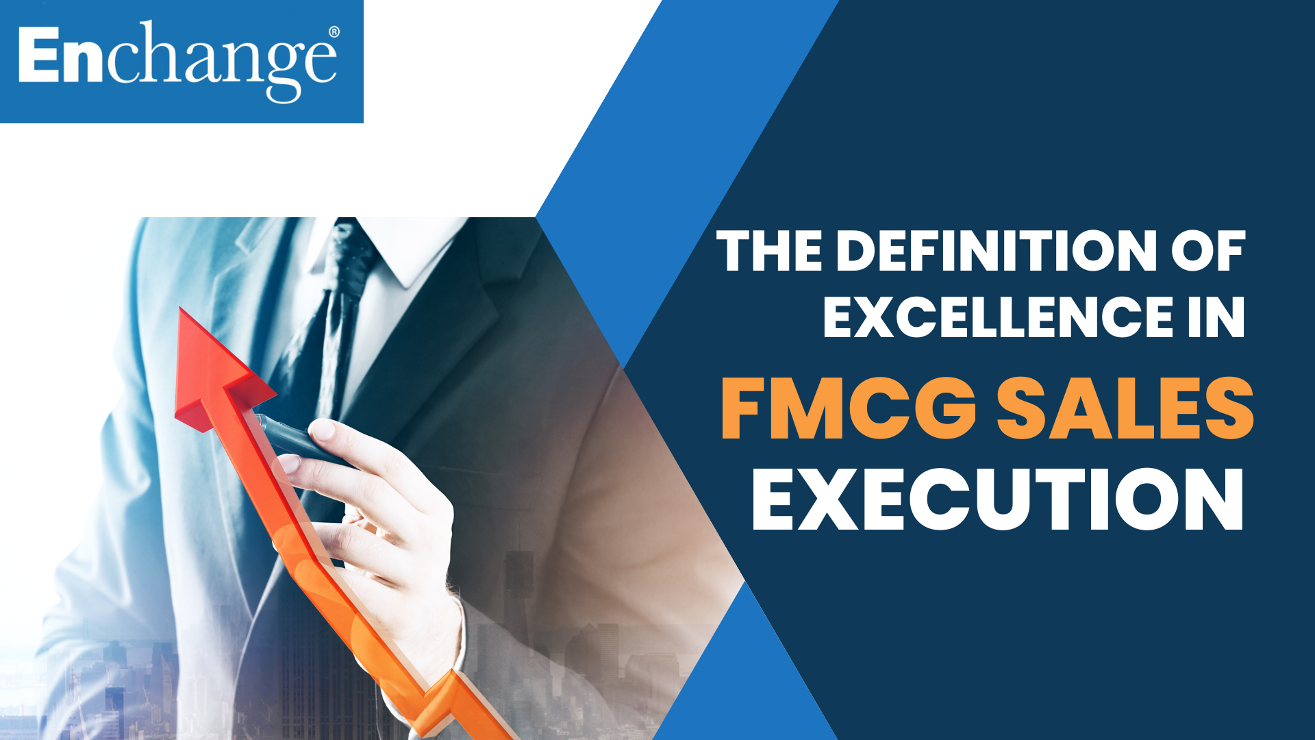 The Definition of Excellence in FMCG Sales Execution